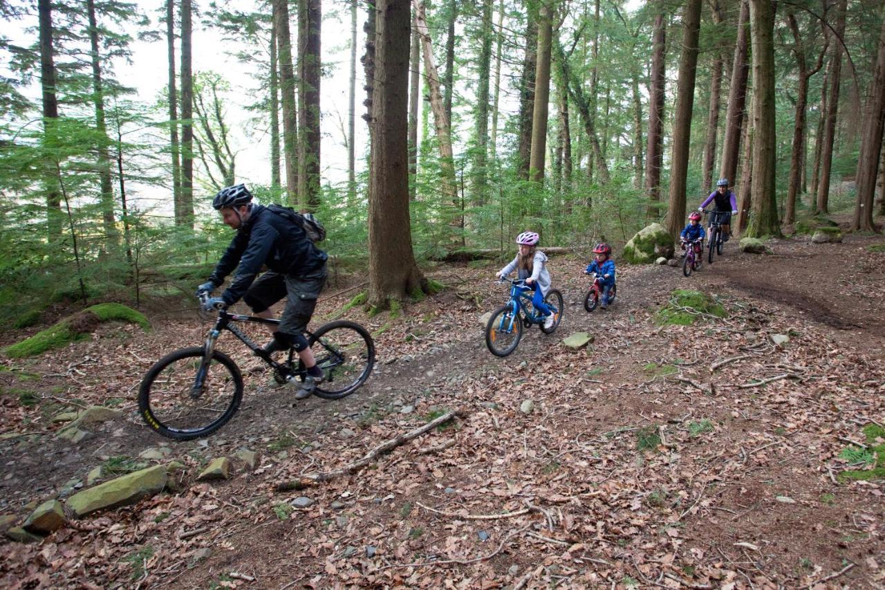 Rostrevor Mountain Lodge & Glamping Pods Esterno foto