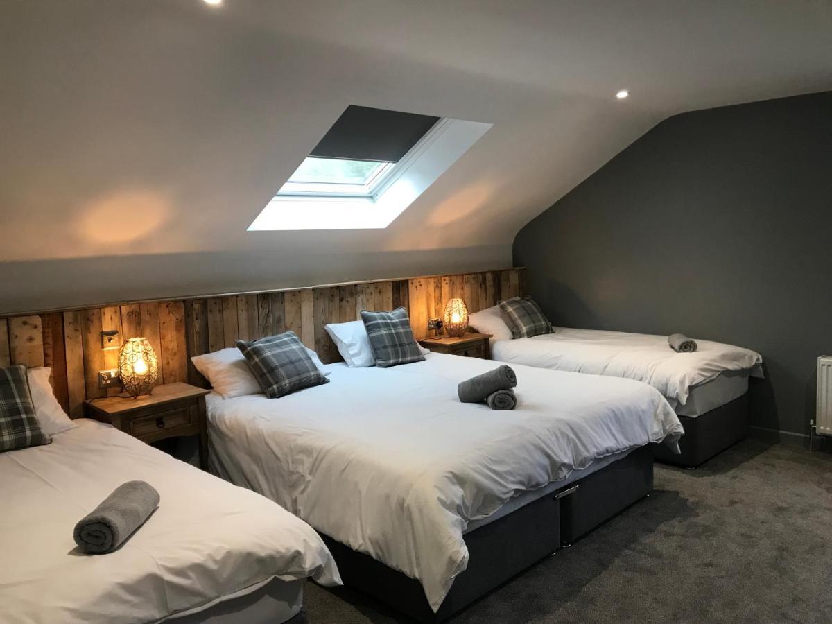 Rostrevor Mountain Lodge - Glamping Pods - Revive Sauna & Hot Tubs Esterno foto