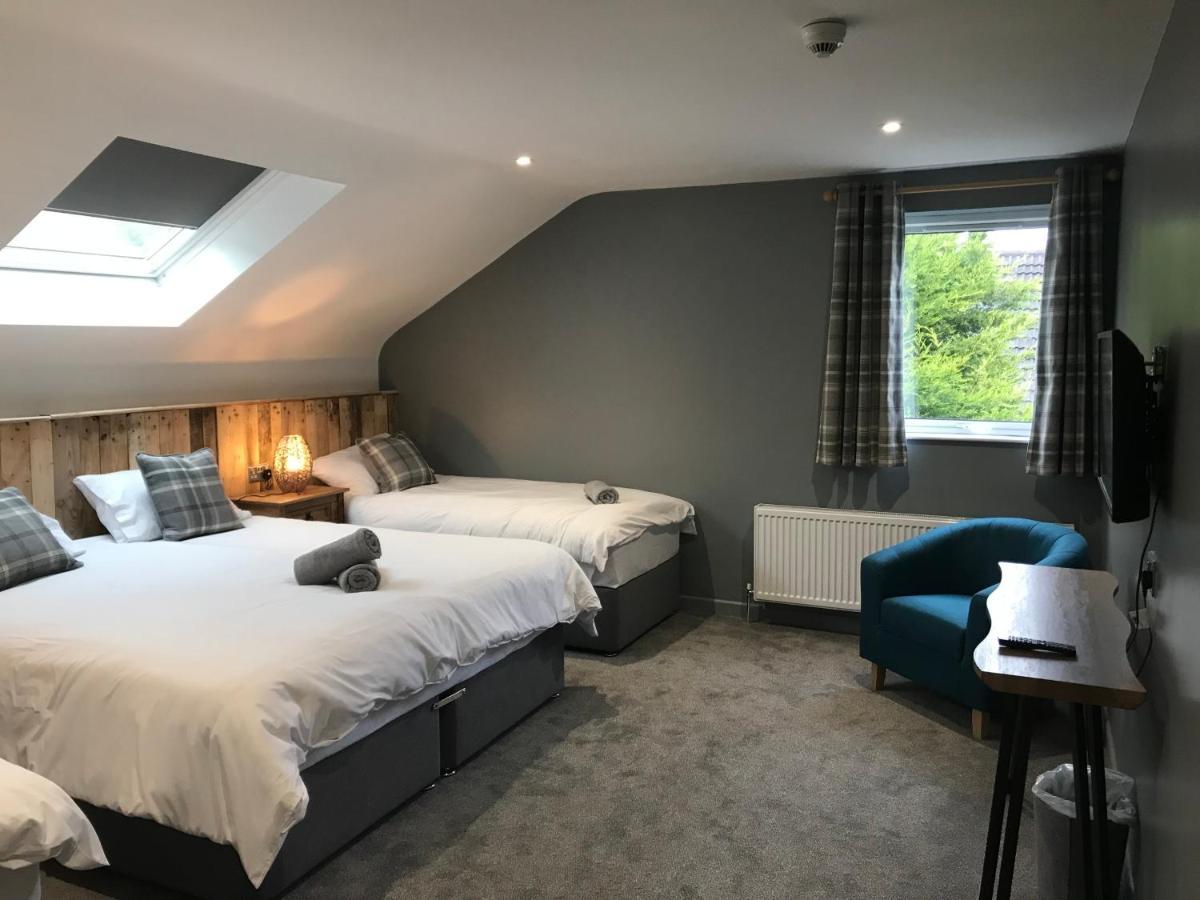 Rostrevor Mountain Lodge - Glamping Pods - Revive Sauna & Hot Tubs Esterno foto
